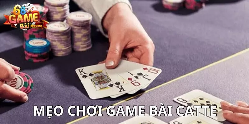 Catte cá cược Bỏ túi mẹo chơi nâng cao tỷ lệ thắng trong game bài Catte