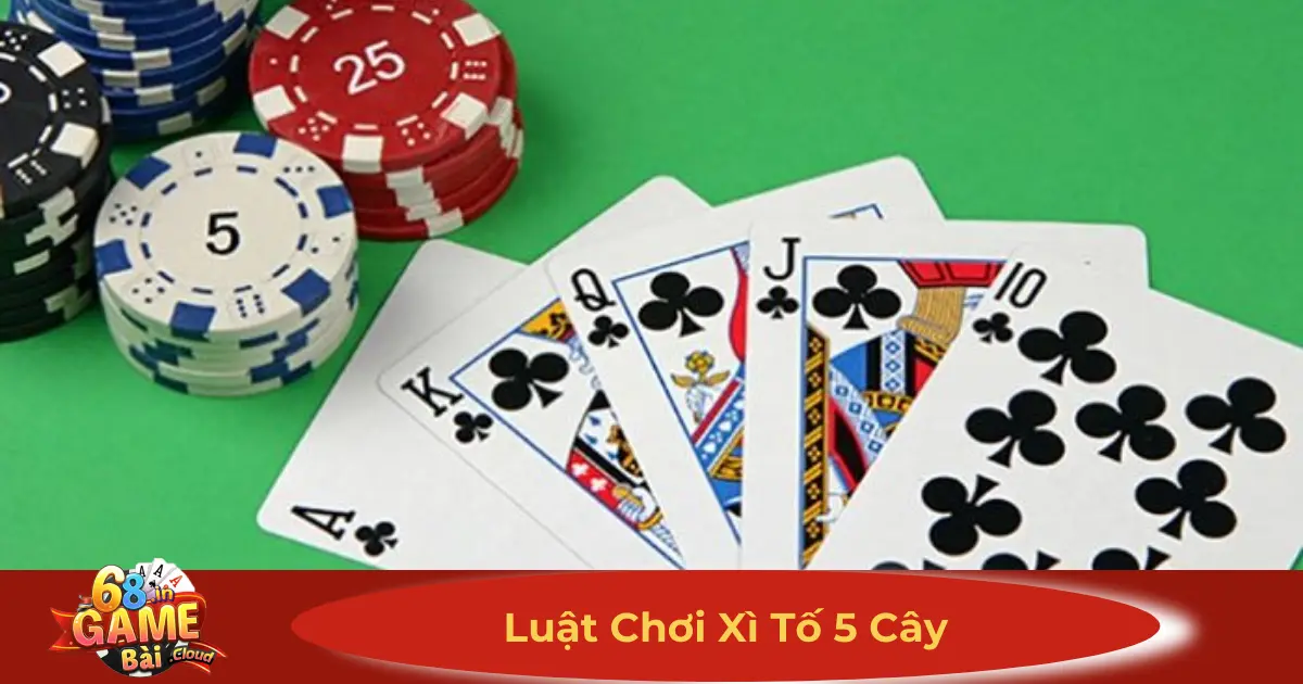 Luật Chơi Xì Tố 5 Cây 68 Game Bài – Quy Tắc Cược & So Bài 2 Quy Định & Cách Tính Điểm Trong Xì Tố 5 Cây